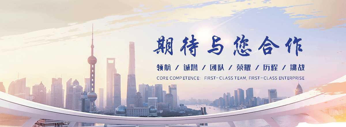 盐山网站S.E.O排名
